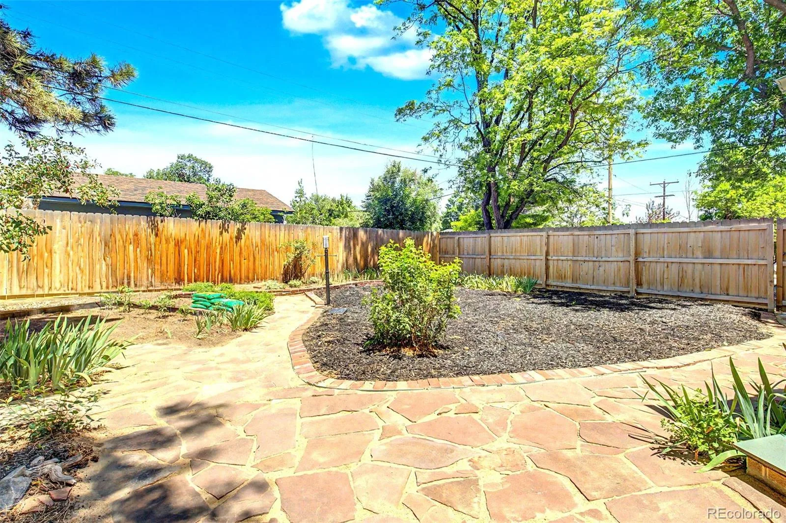 1661 Allison Street Lakewood CO 80214 MLS #REC6105267 06162026141829 1600 24