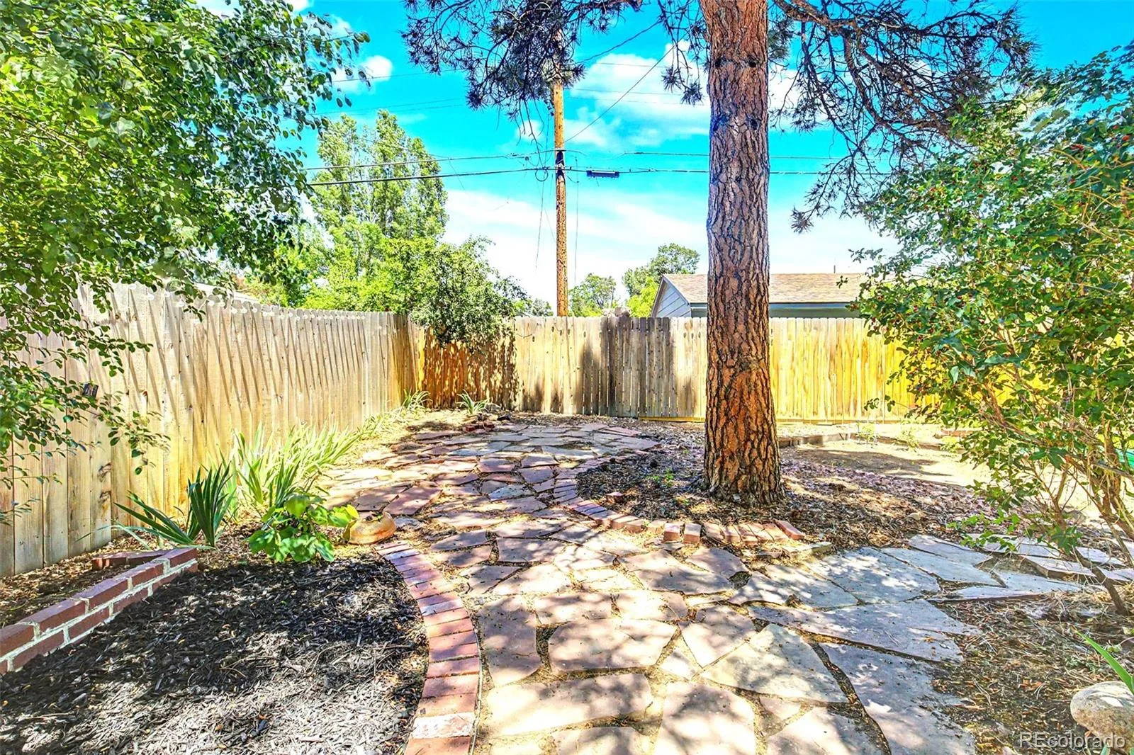1661 Allison Street Lakewood CO 80214 MLS #REC6105267 06162026141829 1600 28
