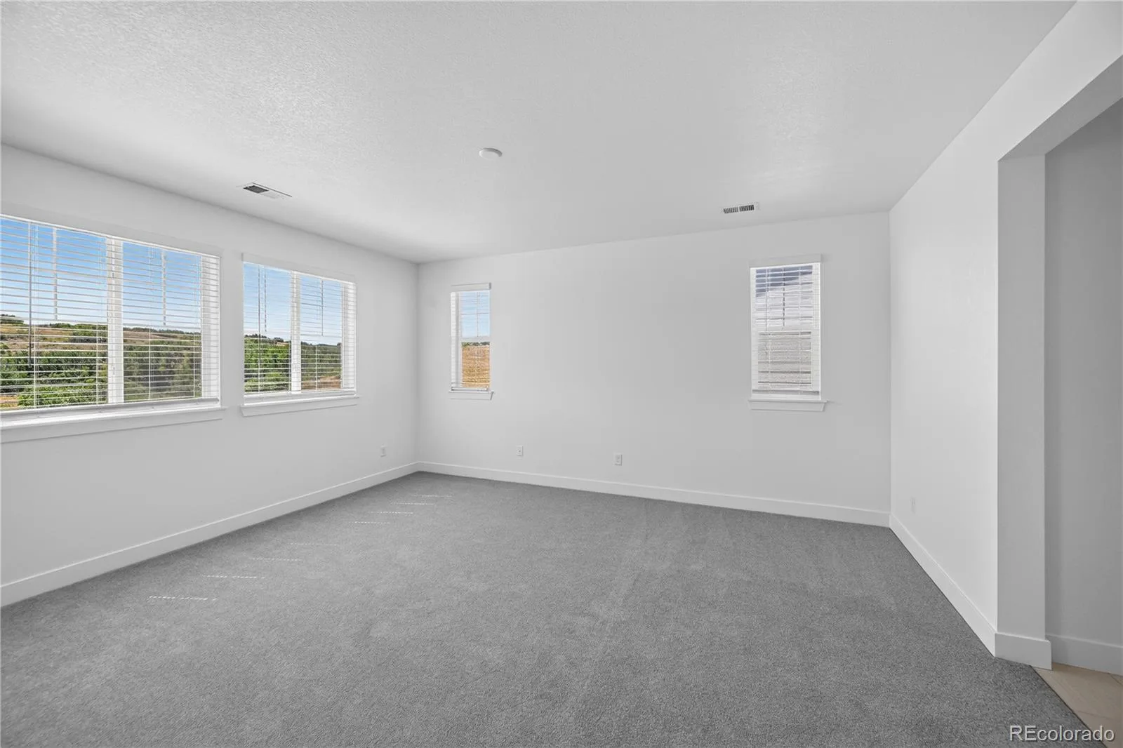 3418 Backdrop Court Castle Rock CO 80108 MLS #REC6107034 07302026195536 1600 25