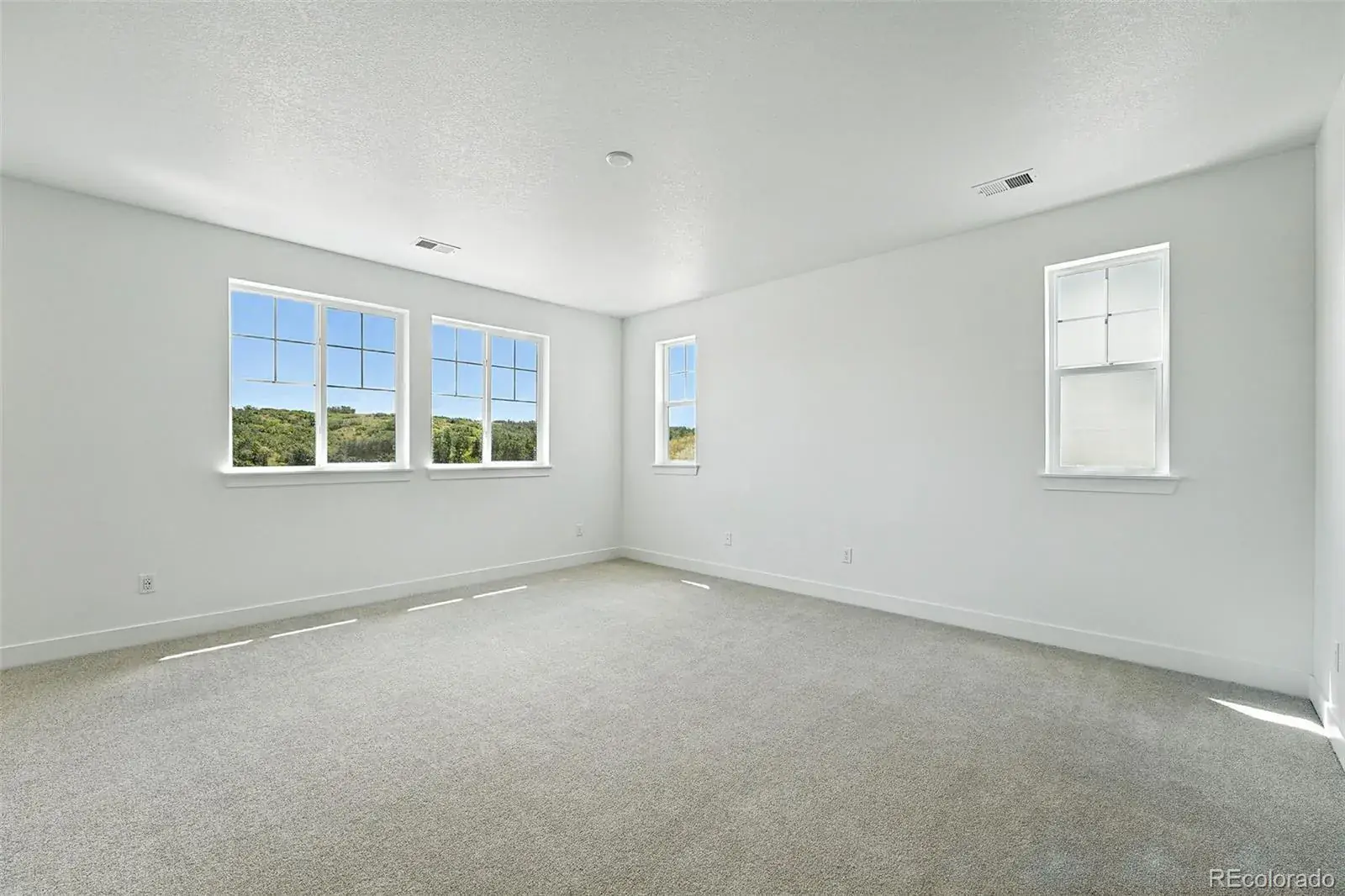 3418 Backdrop Court Castle Rock CO 80108 MLS #REC6107034 10032025011608 1600 19