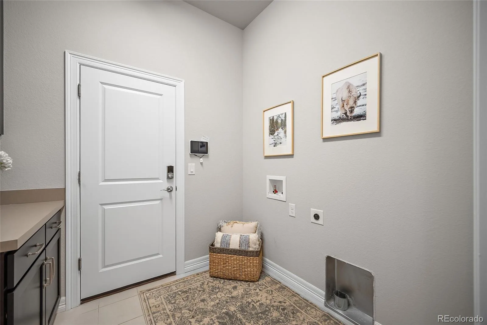 332 Alumroot Street Castle Rock CO 80104 | MLS #REC6109414 06192026232250 1600 24