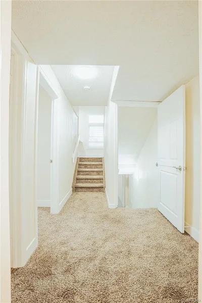 20066 E Bellewood Place Centennial CO 80015 | MLS #REC6109946 10062026231558 800 19