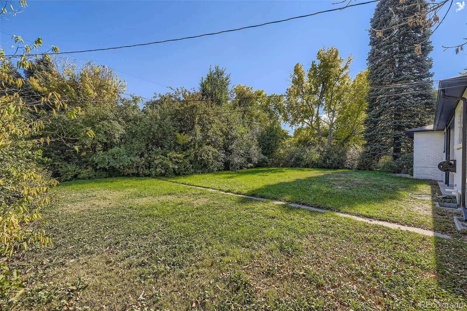 04132026045135 1600 19