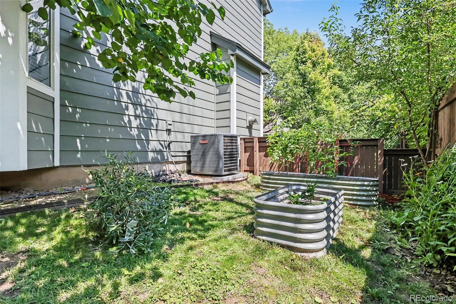 1524 Red Mountain Drive Longmont CO 80504 | MLS #REC6116956 07242026112427 1600 23