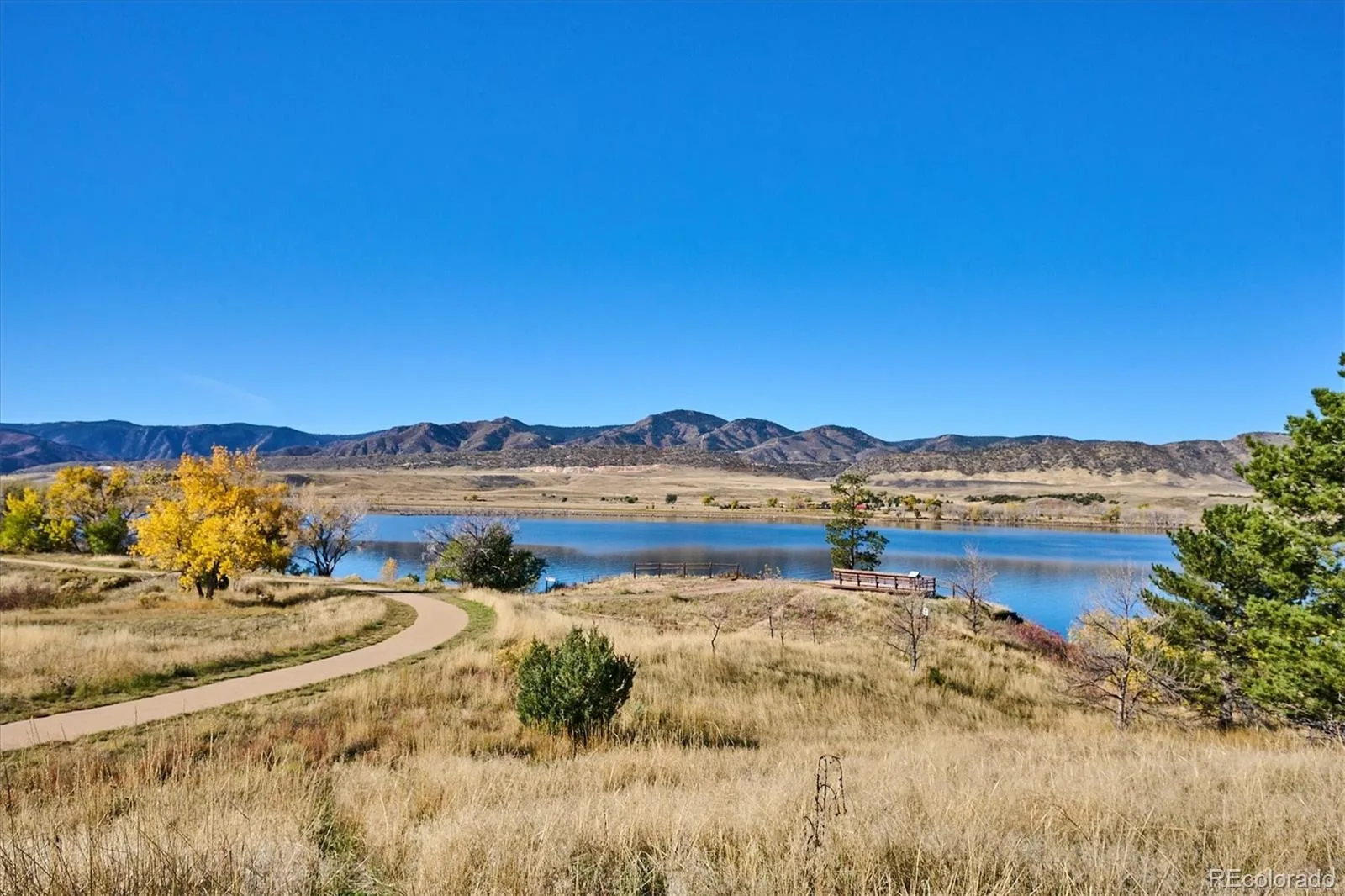 8726 S Kline Street #A304 Littleton CO 80127 | MLS #REC6119848 08122026145455 1600 46