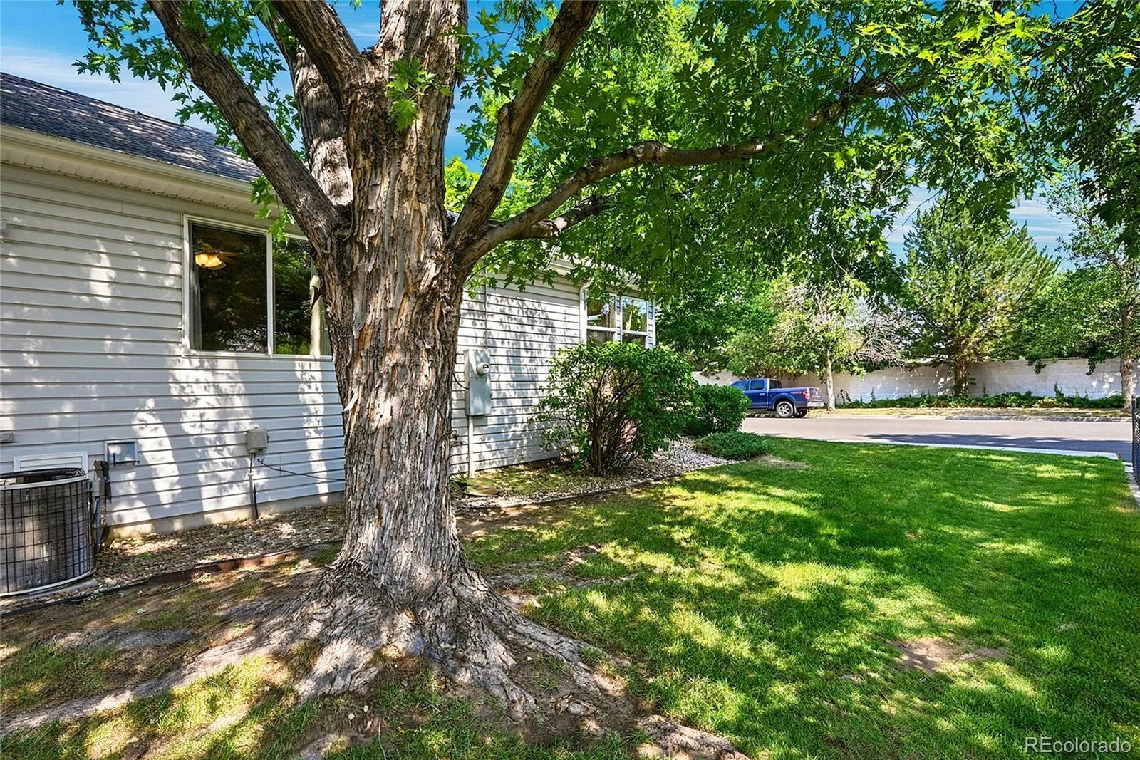 2206 S Iola Street Aurora CO 80014 MLS #REC6120891 06262026024102 1600 31