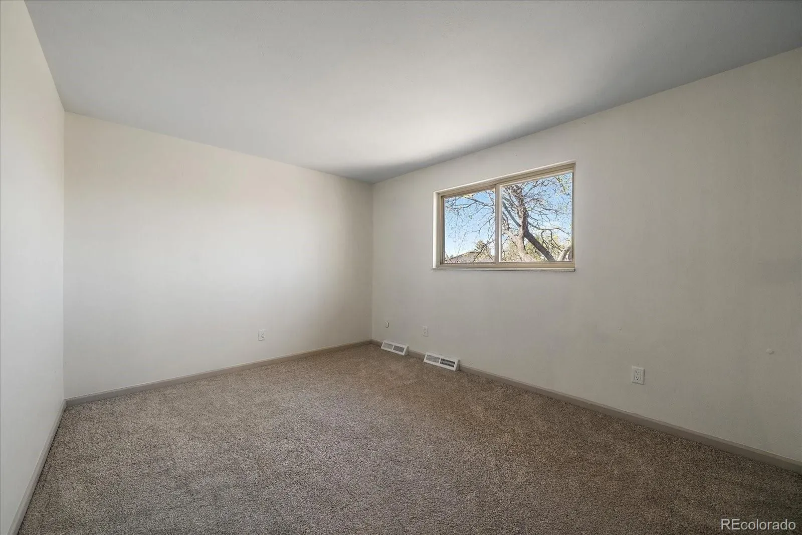 03272026043502 1600 24