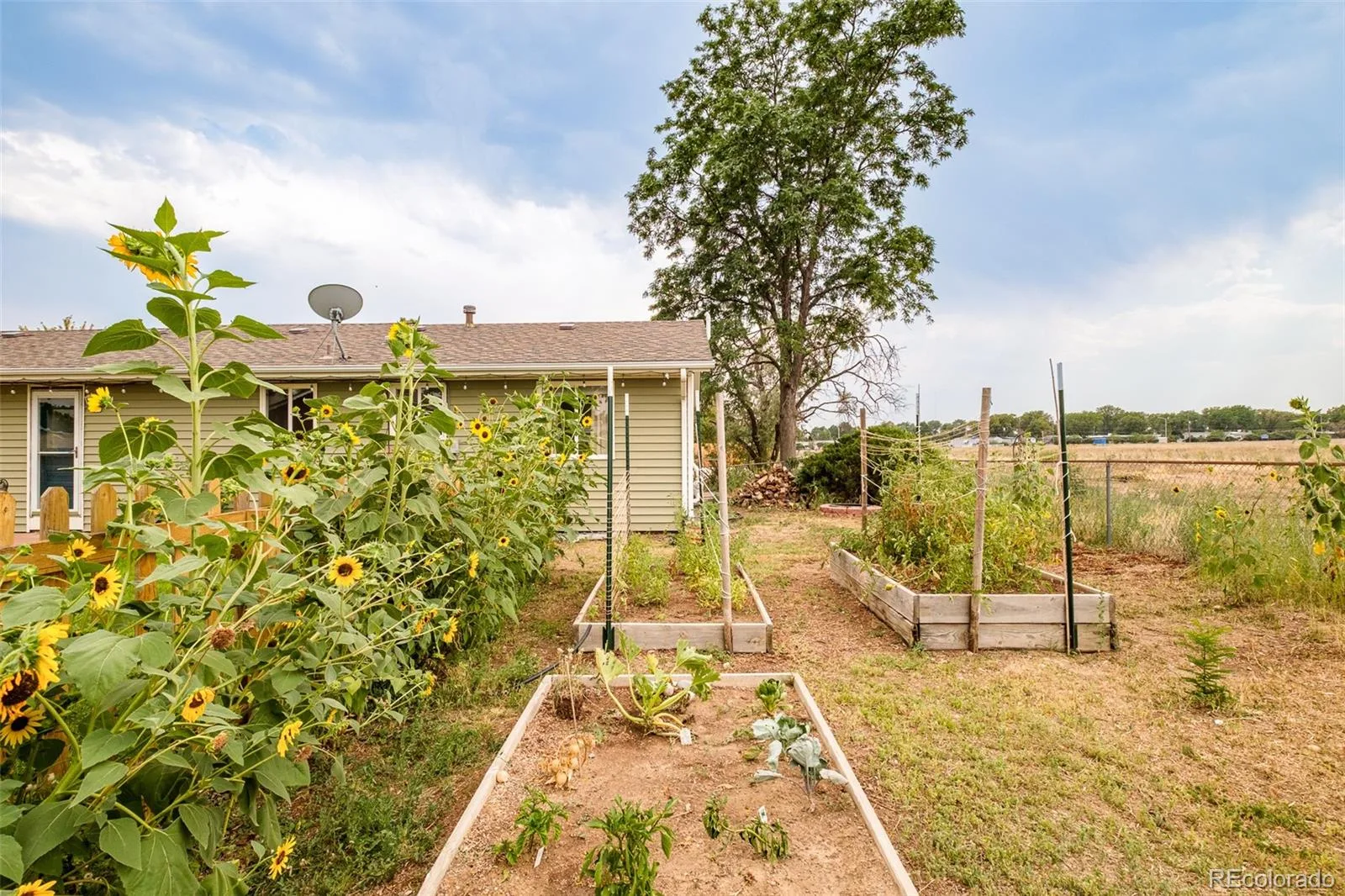 3595 E 89th Avenue Thornton CO 80229 | MLS #REC6136788 08062026185913 1600 31