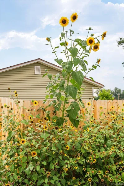 3595 E 89th Avenue Thornton CO 80229 | MLS #REC6136788 08062026185913 800 32