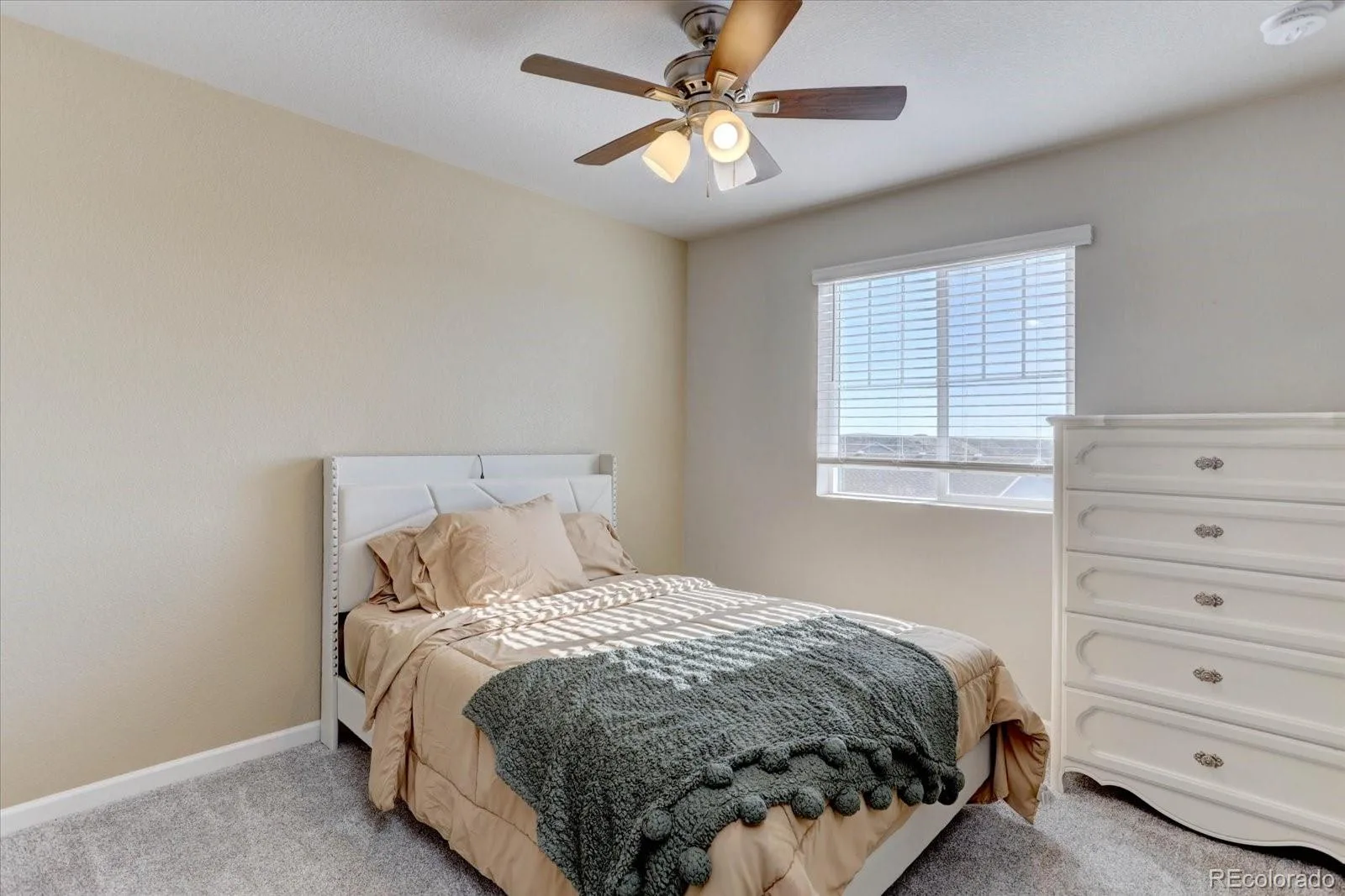1958 Villageview Lane Castle Rock CO 80104 | MLS #REC6140459 06112026203807 1600 18