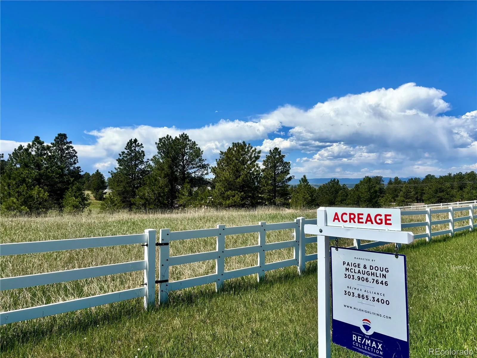 11455 Random Valley Circle Parker CO 80134 | MLS #REC6146190 06102026203643 1600 1