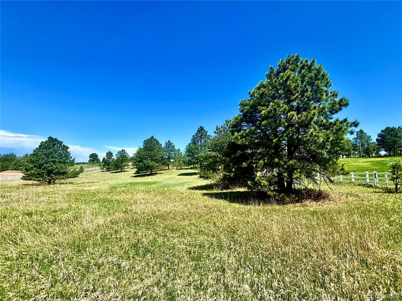 11455 Random Valley Circle Parker CO 80134 | MLS #REC6146190 06102026203643 1600 3