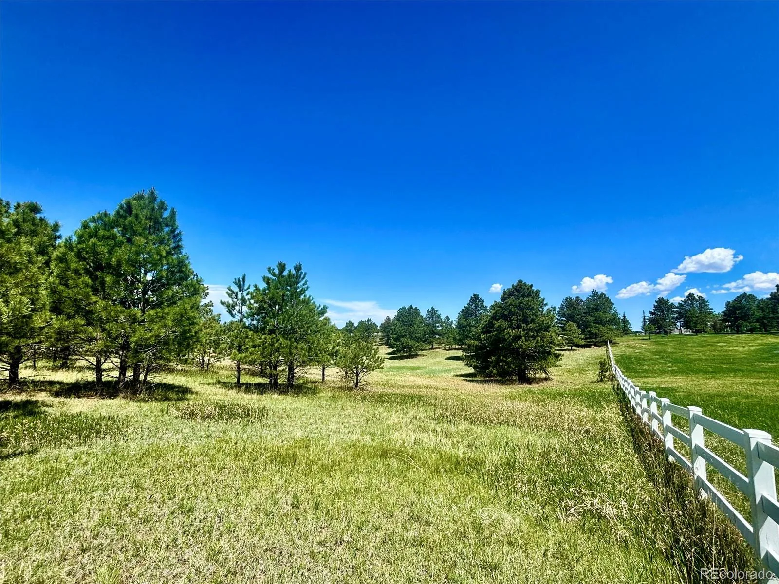 11455 Random Valley Circle Parker CO 80134 | MLS #REC6146190 06102026203643 1600 4