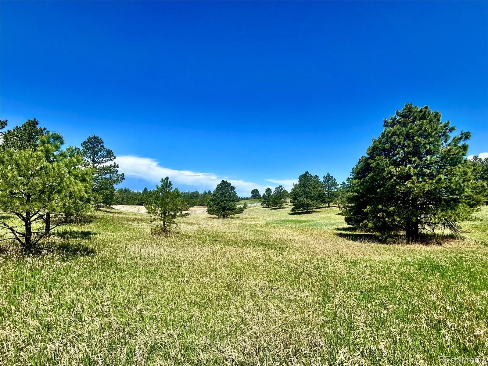 11455 Random Valley Circle Parker CO 80134 | MLS #REC6146190 06102026203643 1600 5