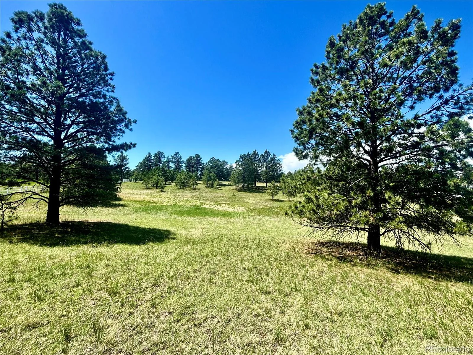 11455 Random Valley Circle Parker CO 80134 | MLS #REC6146190 06102026203643 1600 6