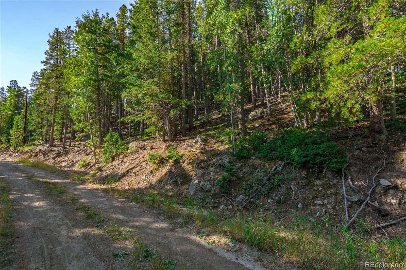 000 Aspenwood Lane Evergreen CO 80439 | MLS #REC6149194 07222026174929 1600 1