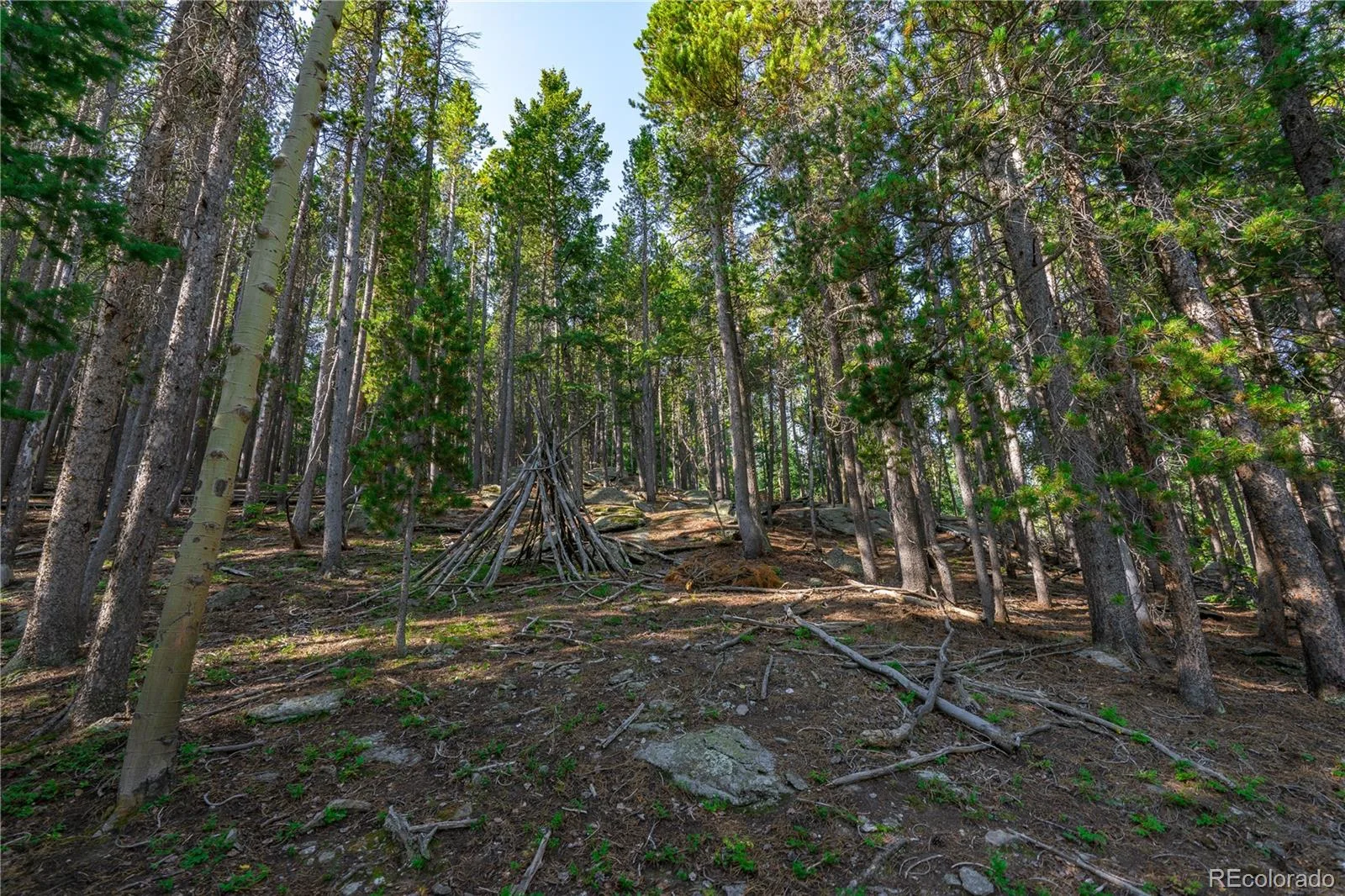 000 Aspenwood Lane Evergreen CO 80439 | MLS #REC6149194 07222026174929 1600 10