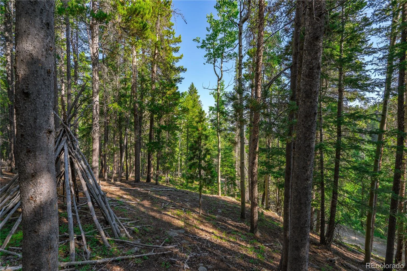 000 Aspenwood Lane Evergreen CO 80439 | MLS #REC6149194 07222026174929 1600 6