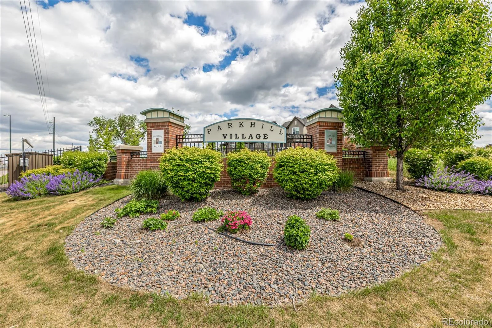 4100 Albion Street #321 Denver CO 80216 | MLS #REC6151433 06102026163207 1600 25