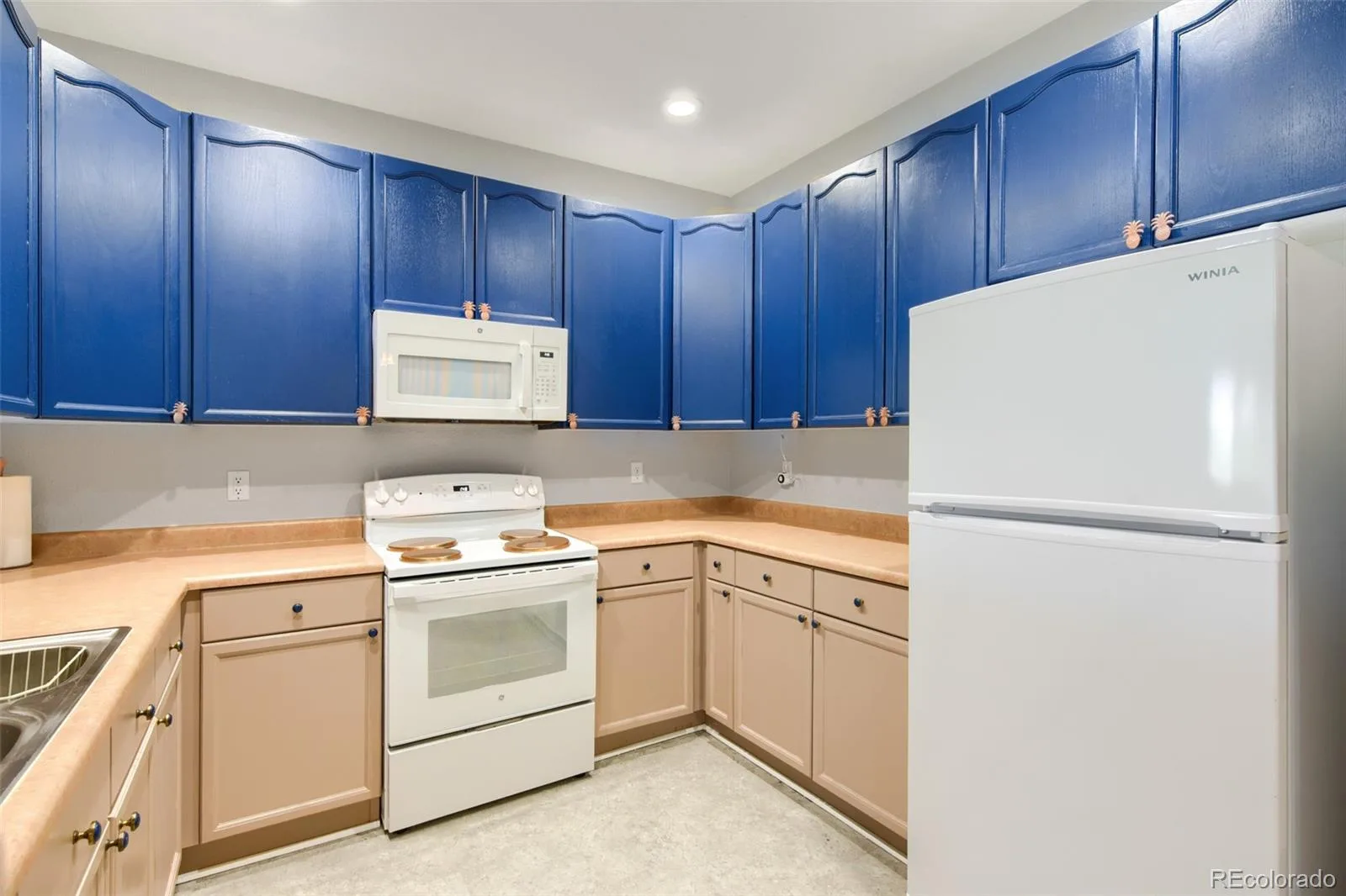8520 S Holland Lane #204 Littleton CO 80128 | MLS #REC6152493 08062026133637 1600 6