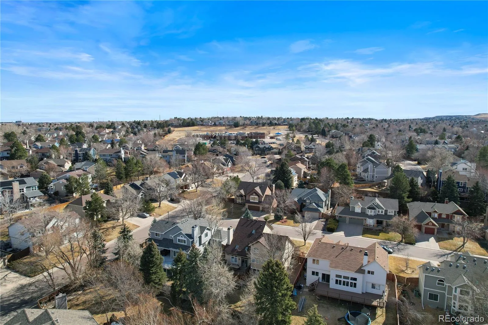 04142026130459 1600 41