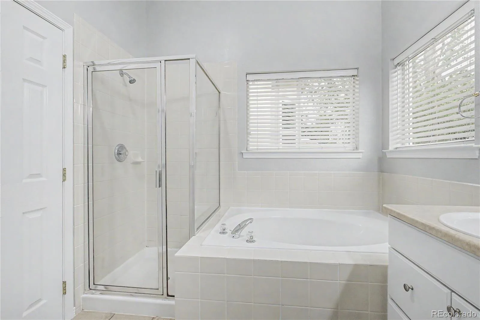 10267 Amethyst Way Parker CO 80134 | MLS #REC6158478 08262026150421 1600 26