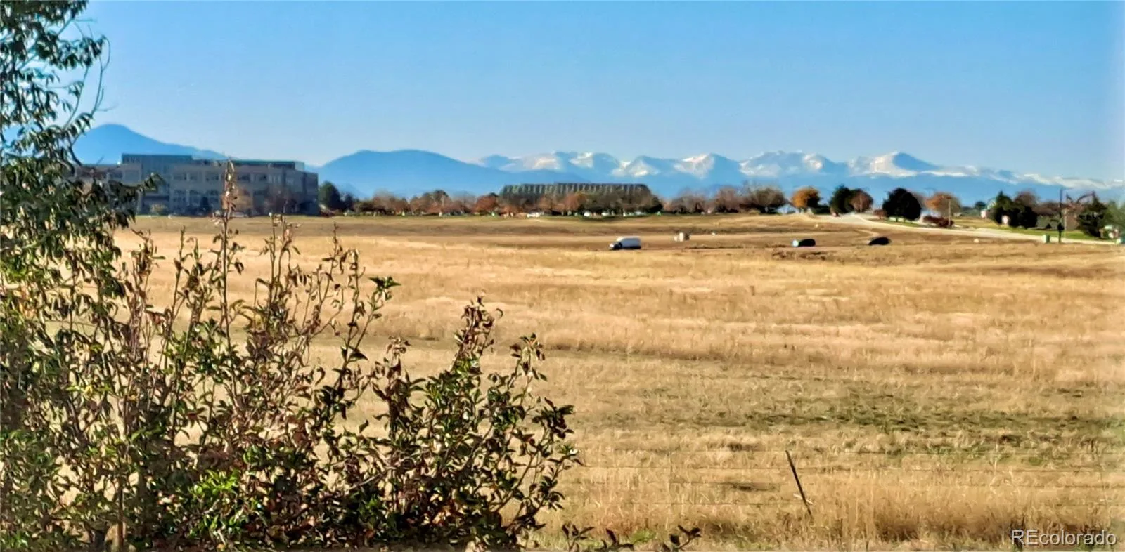 12426 1st Street Parker CO 80134 MLS #REC6167228 06172026212610 1600 2