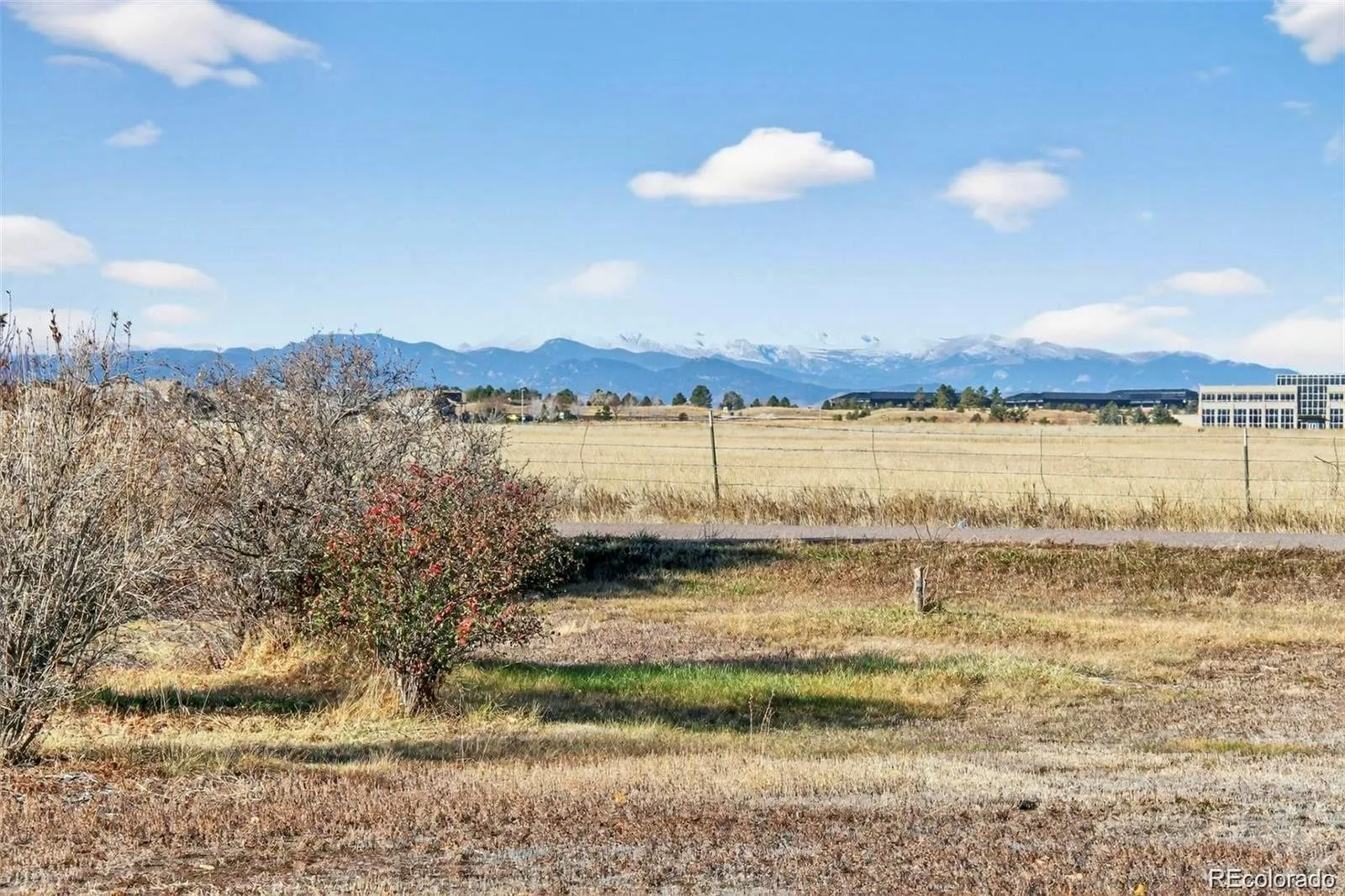 12426 1st Street Parker CO 80134 MLS #REC6167228 06172026212610 1600 3