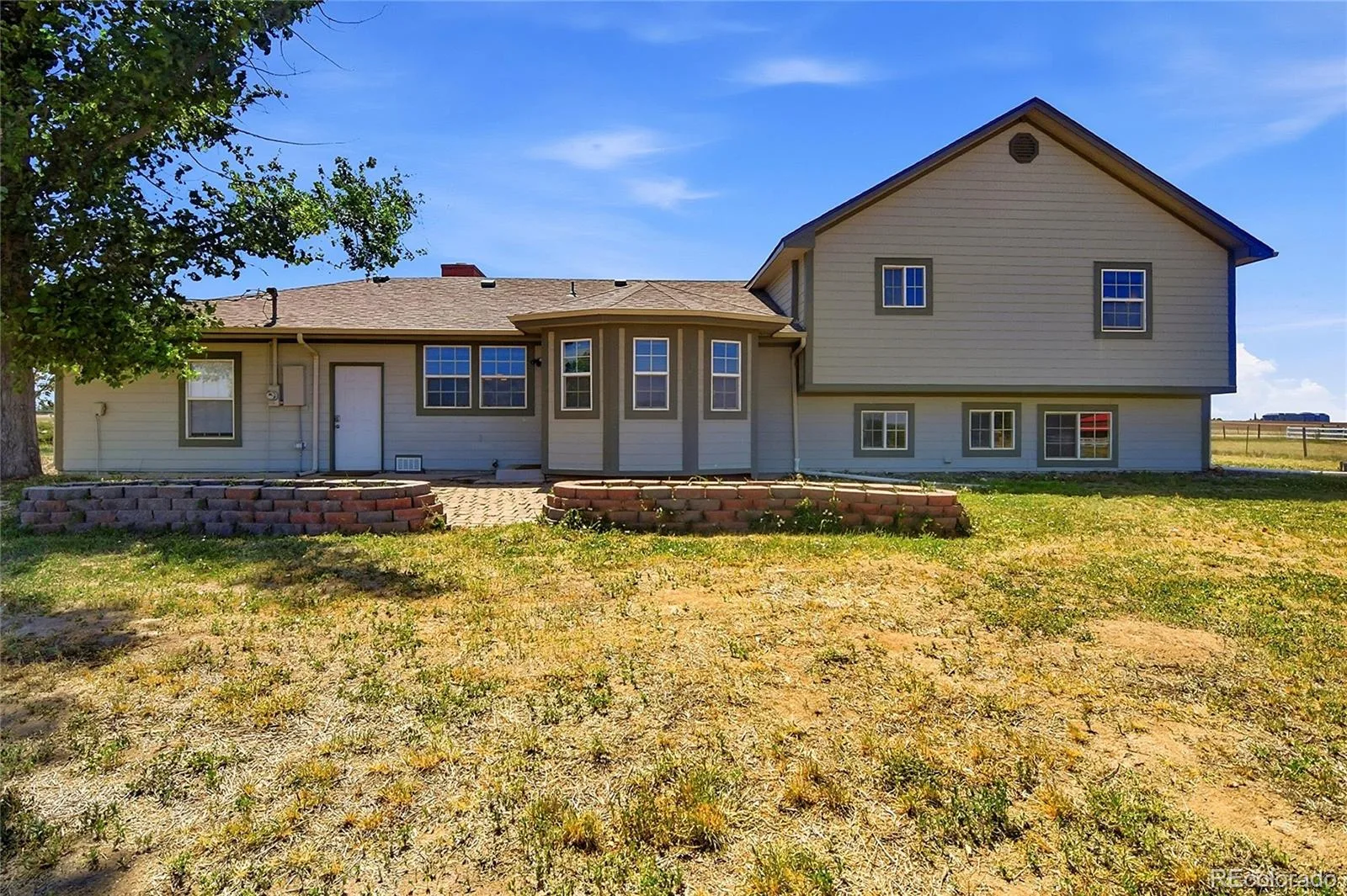 12426 1st Street Parker CO 80134 MLS #REC6167228 06172026212610 1600 37
