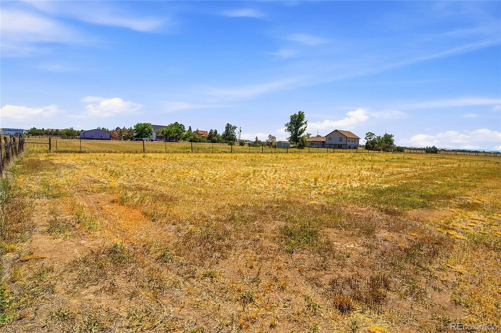 12426 1st Street Parker CO 80134 MLS #REC6167228 06172026212610 1600 43