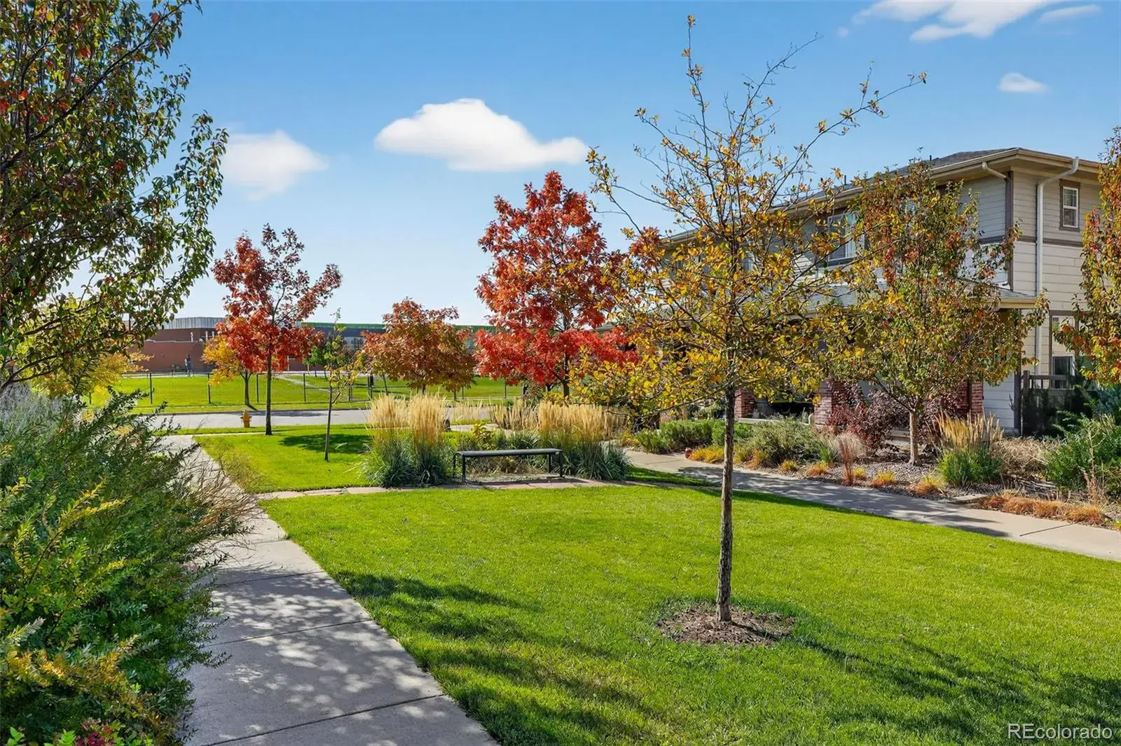 02182026171820 1600 43