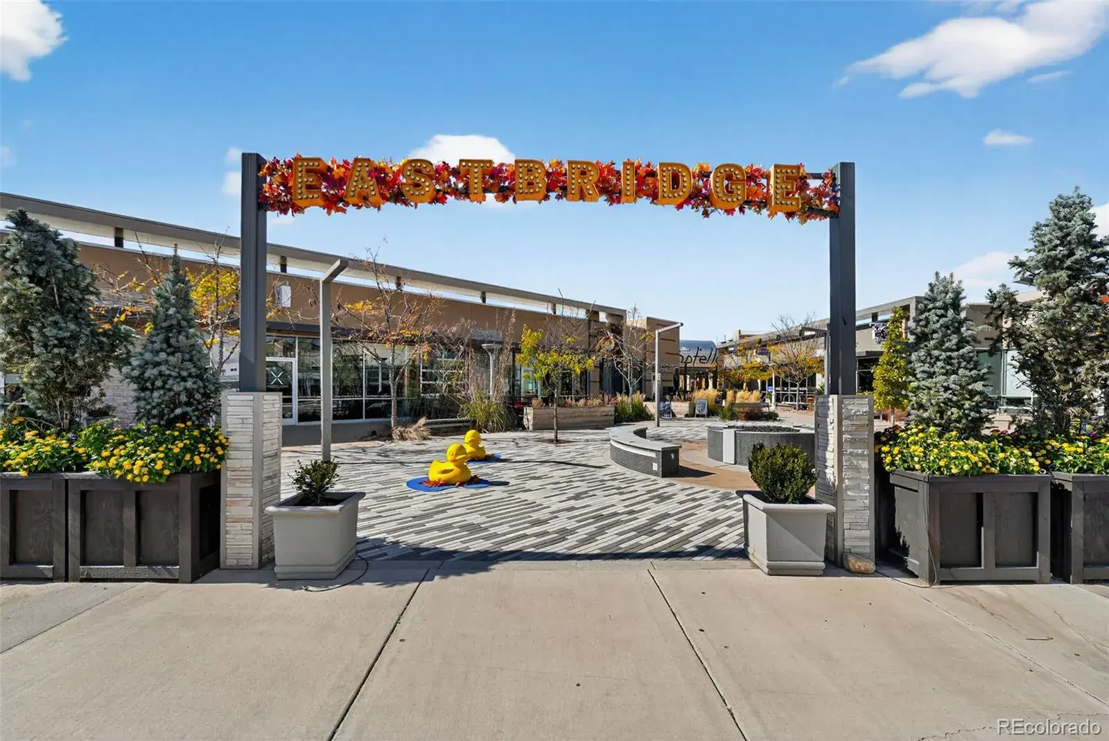 02182026171820 1600 44