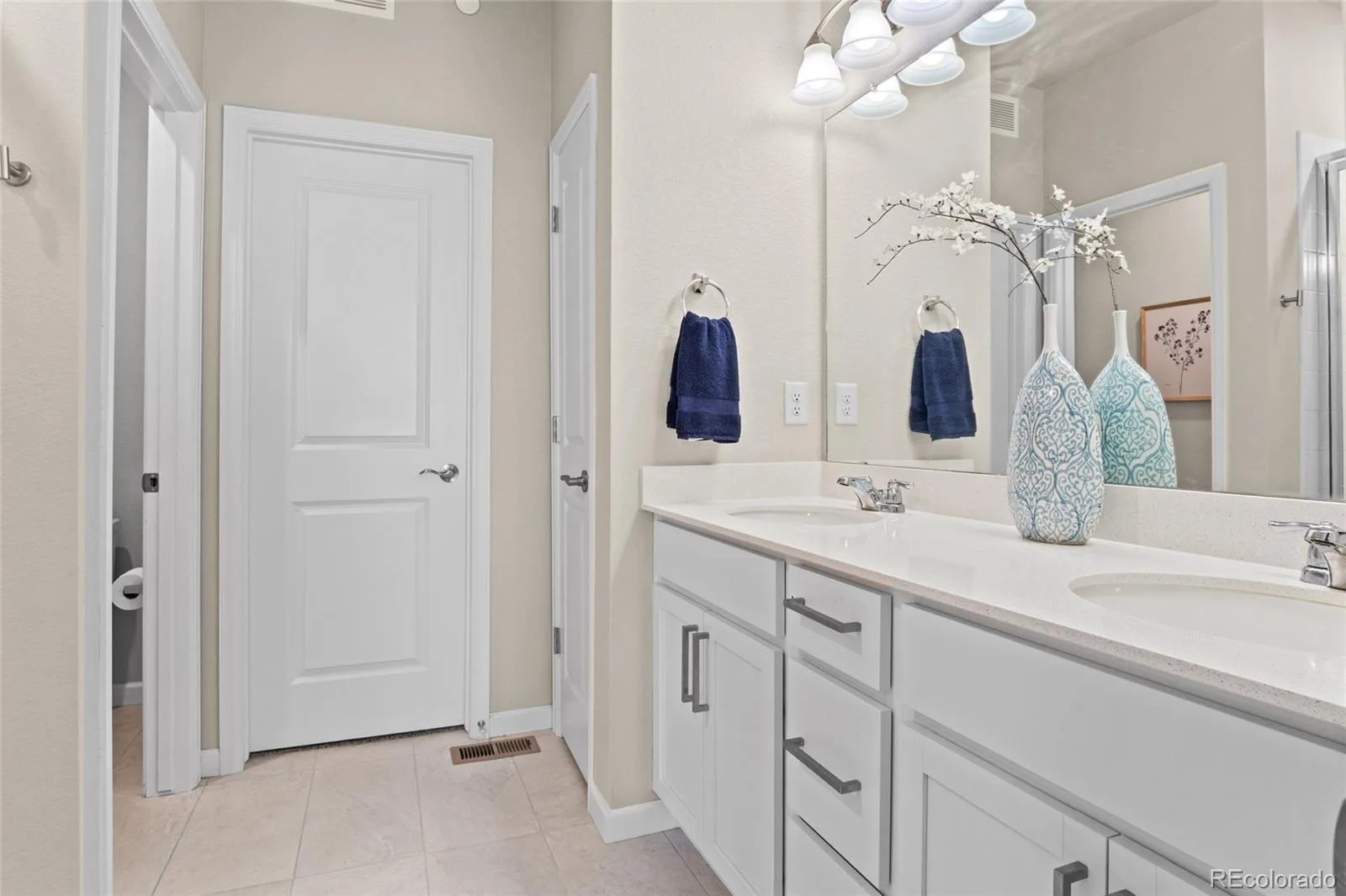 409 Millwall Circle Castle Rock CO 80108 | MLS #REC6170408 08072026044309 1600 16