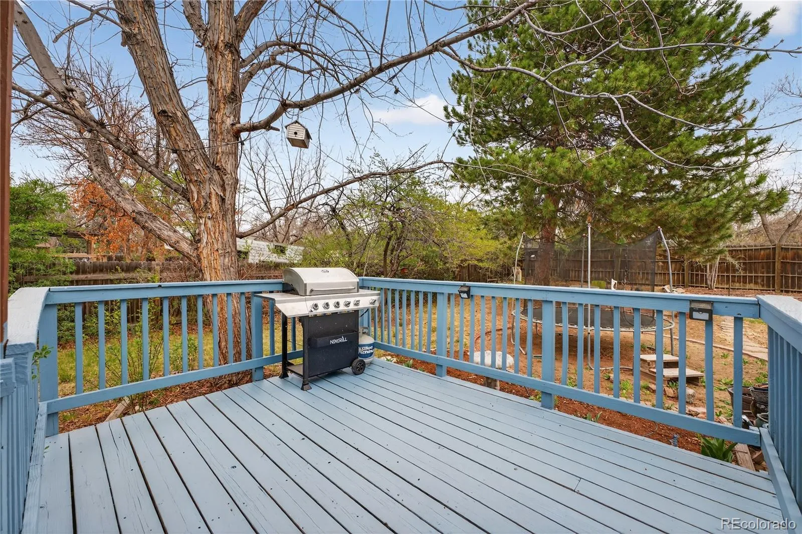 04062026230244 1600 31