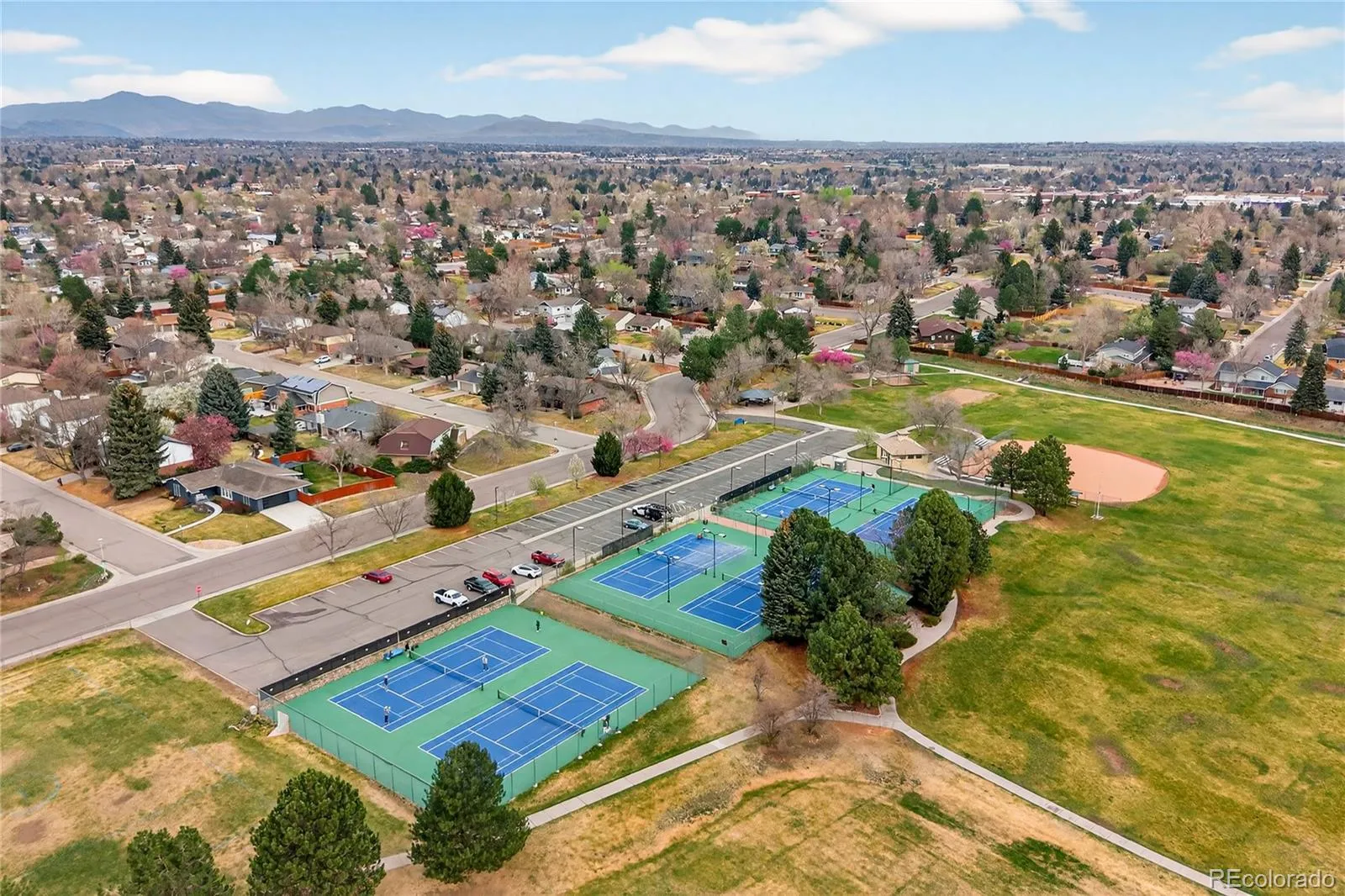 04062026230244 1600 41