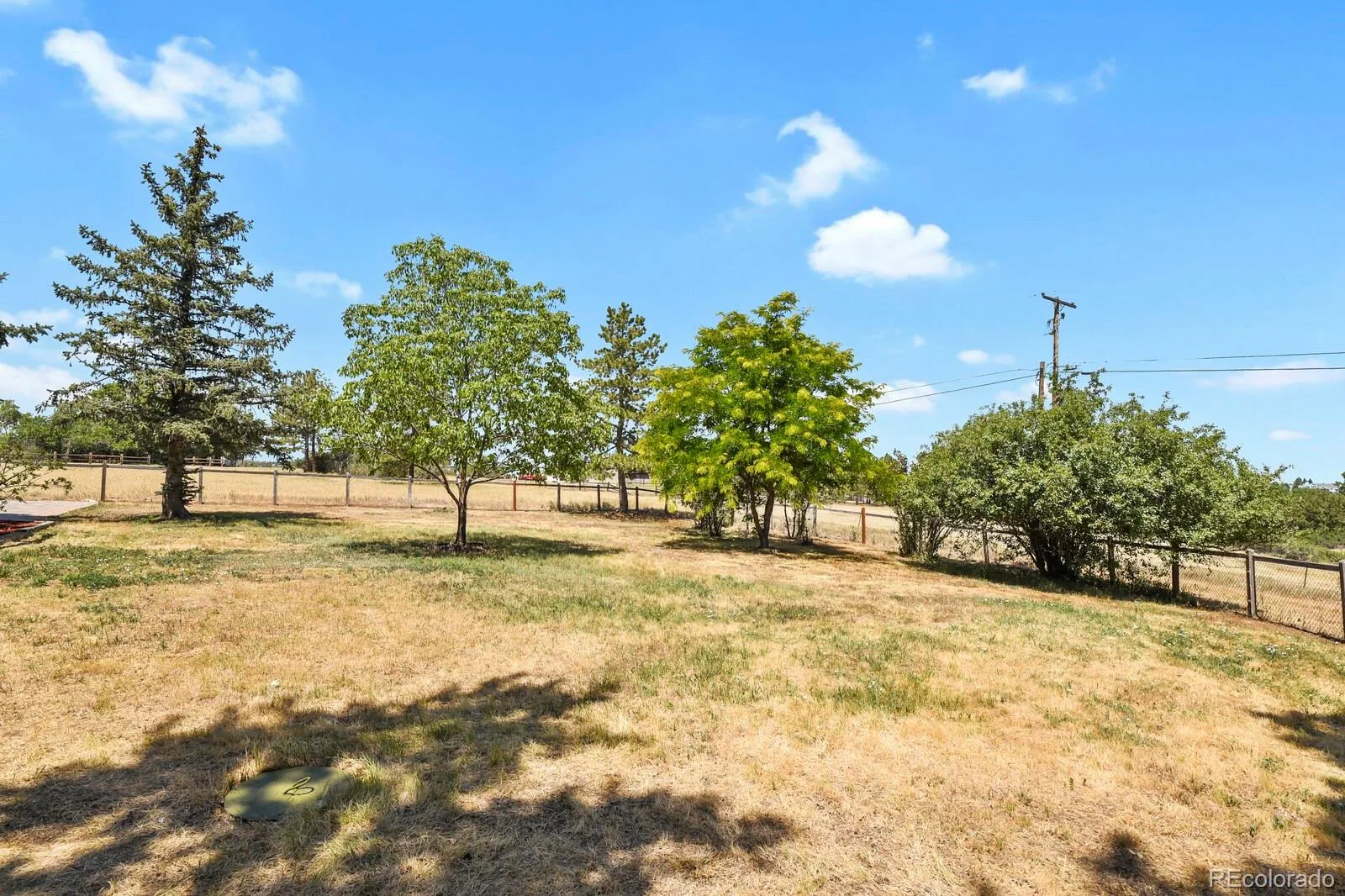 511 E 3rd Avenue Castle Rock CO 80108 | MLS #REC6174169 07232026224506 1600 35