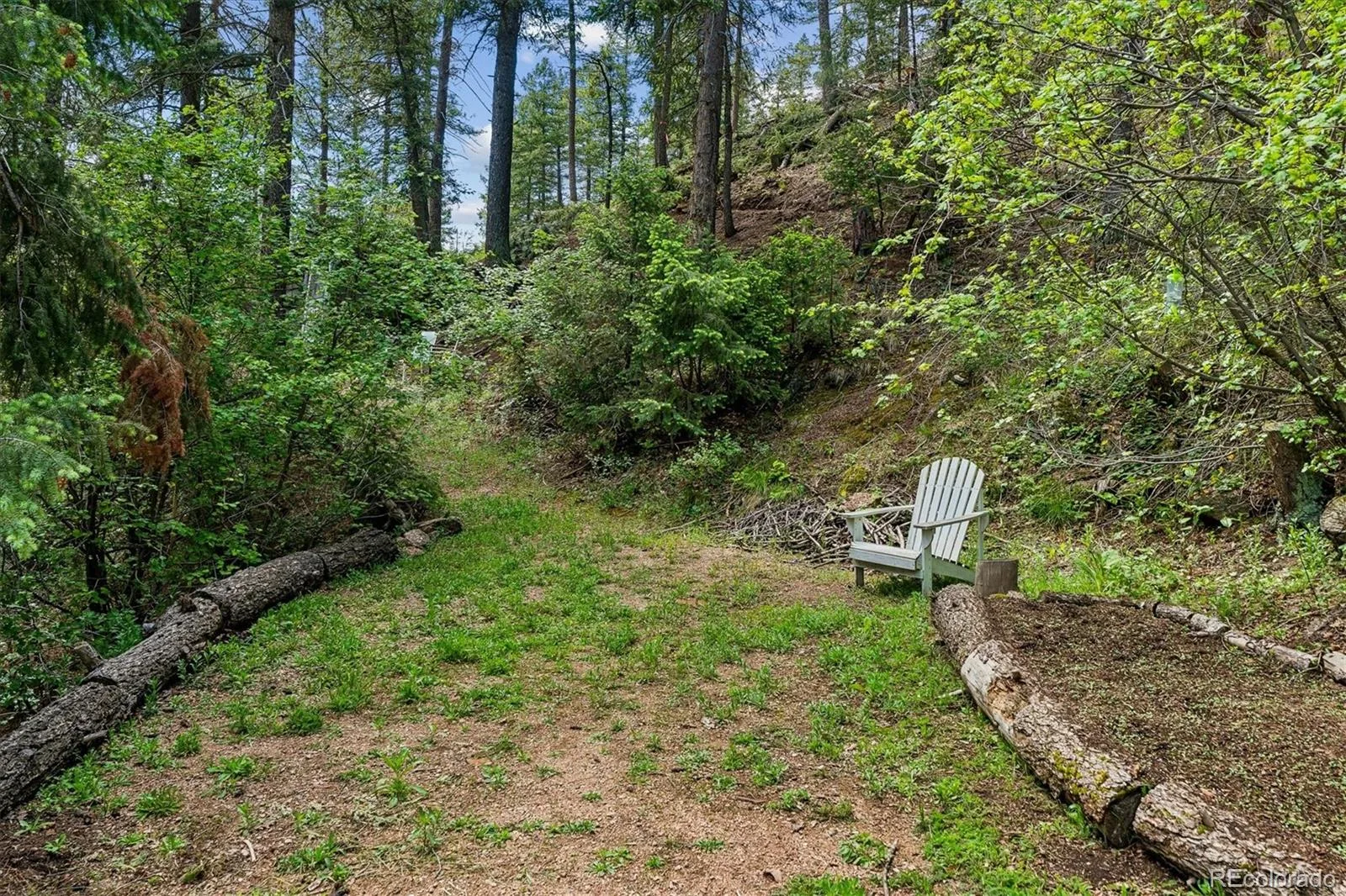 1833 Hidden Valley Road Sedalia CO 80135 | MLS #REC6178720 07182026125921 1600 33