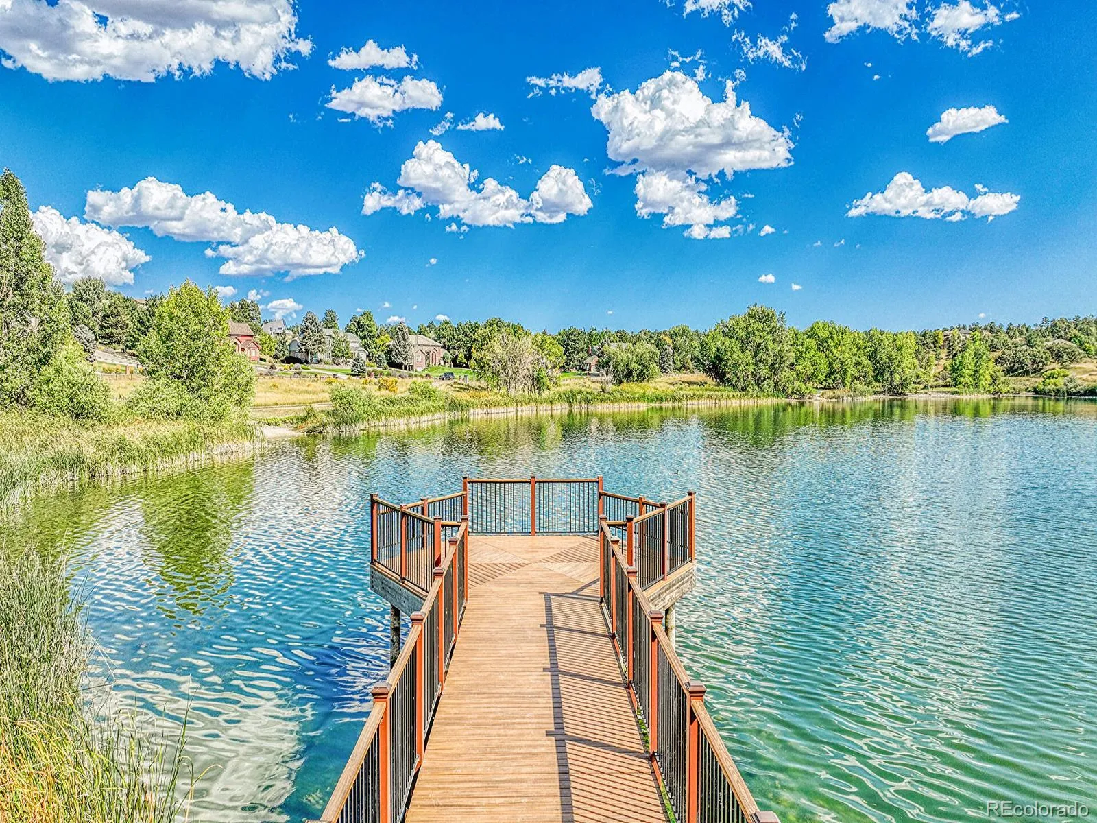 8190 Lakeshore Drive Parker CO 80134 MLS #REC6178996 04242026185818 1600 2