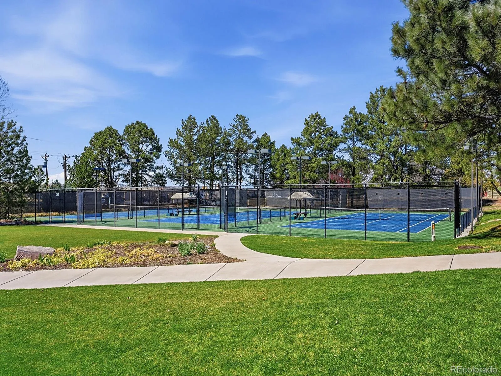 8190 Lakeshore Drive Parker CO 80134 MLS #REC6178996 04242026185818 1600 37