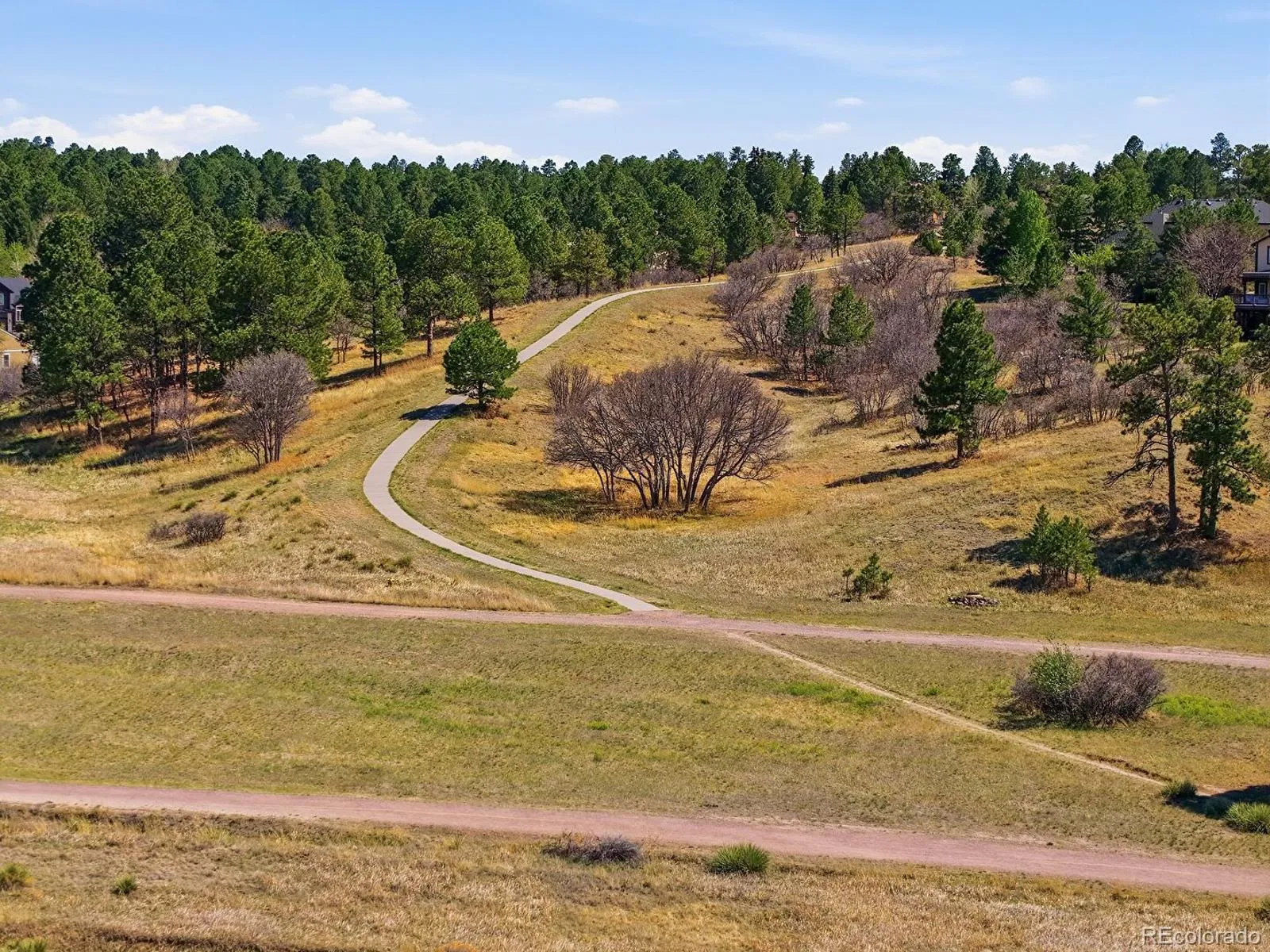 8190 Lakeshore Drive Parker CO 80134 MLS #REC6178996 04242026185818 1600 40