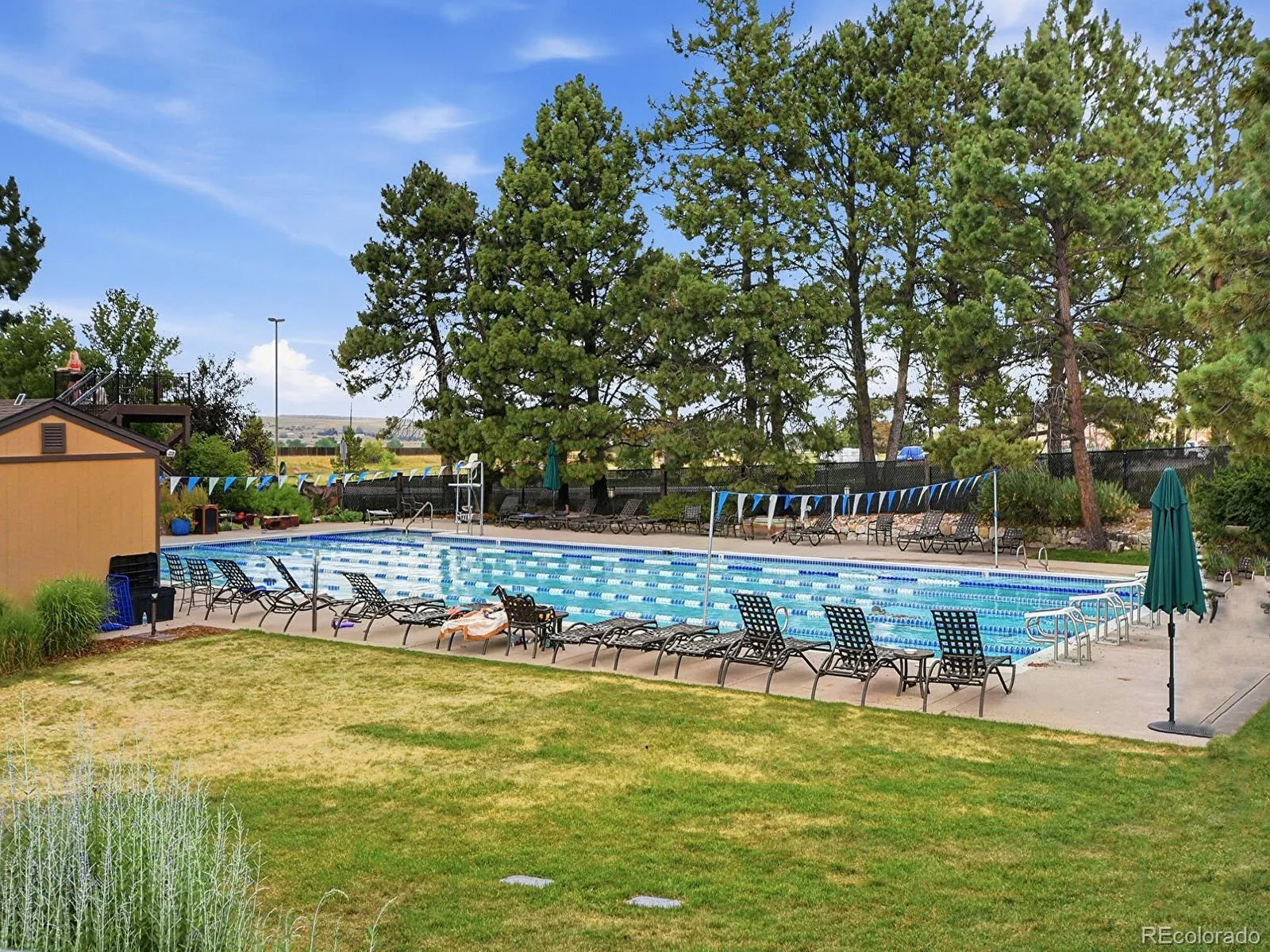 8190 Lakeshore Drive Parker CO 80134 MLS #REC6178996 04242026185818 1600 43