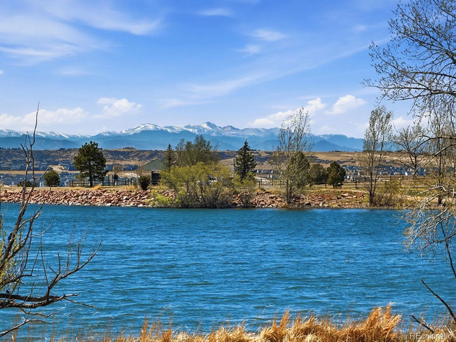 8190 Lakeshore Drive Parker CO 80134 MLS #REC6178996 04242026185818 1600 44