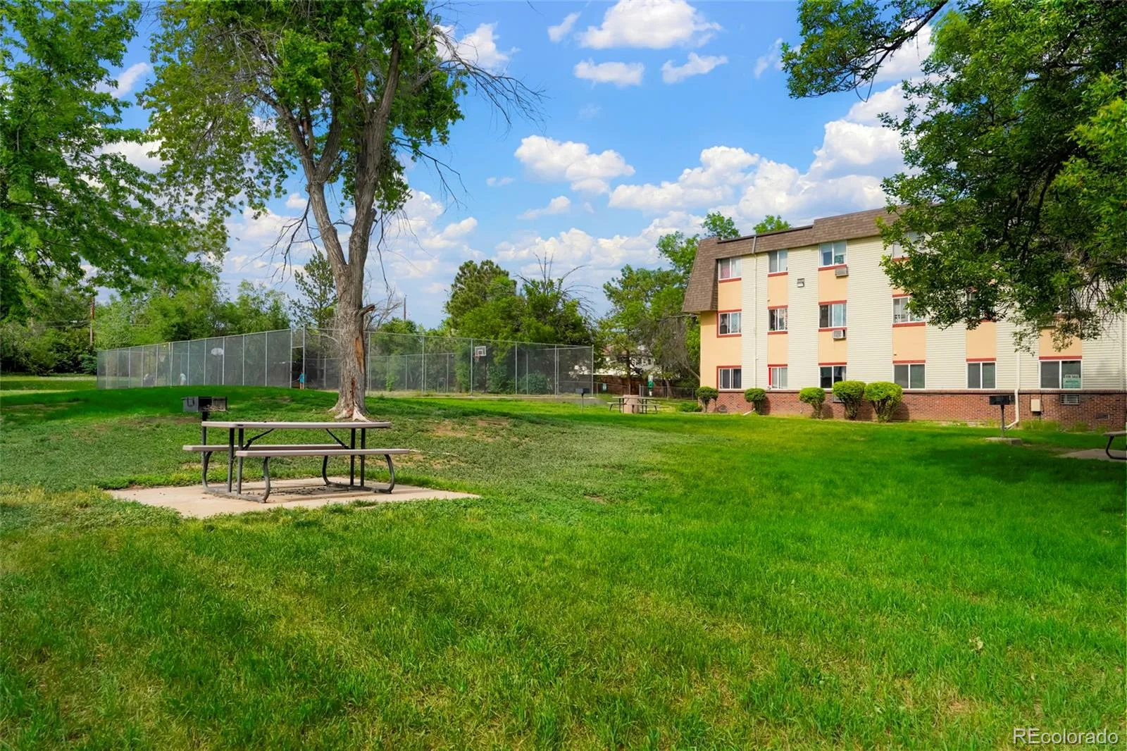 747 W 96th Avenue #12 Thornton CO 80260 MLS #REC6179661 06022026185219 1600 6