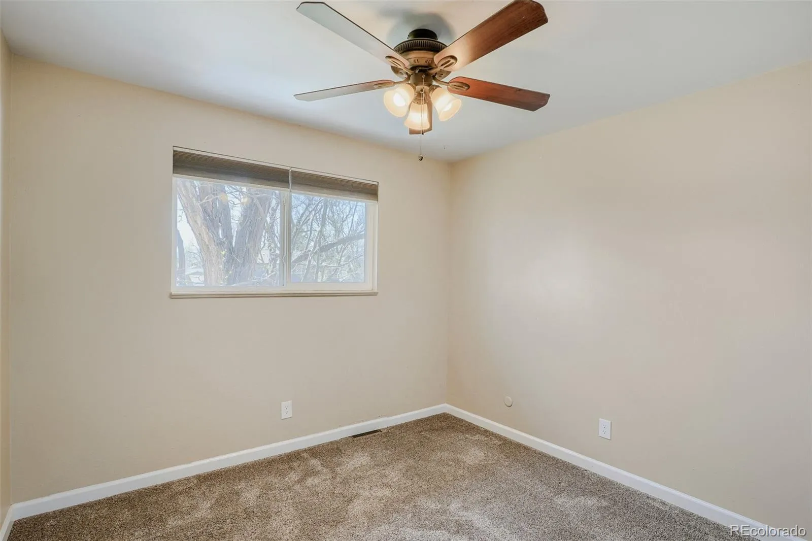 04052026025240 1600 20