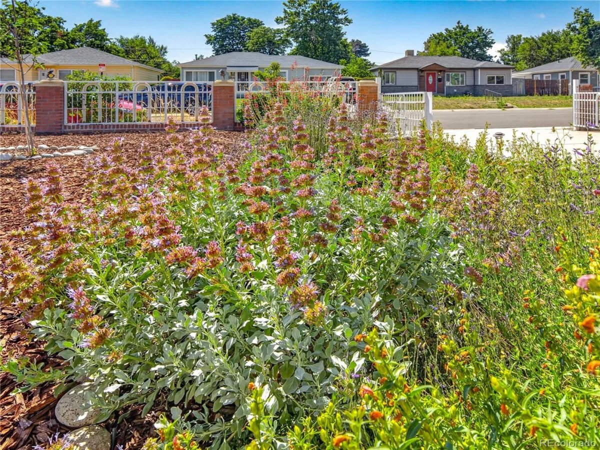 4574 Wyandot Street Denver CO 80211 | MLS #REC6198671 07232026173834 1200 22
