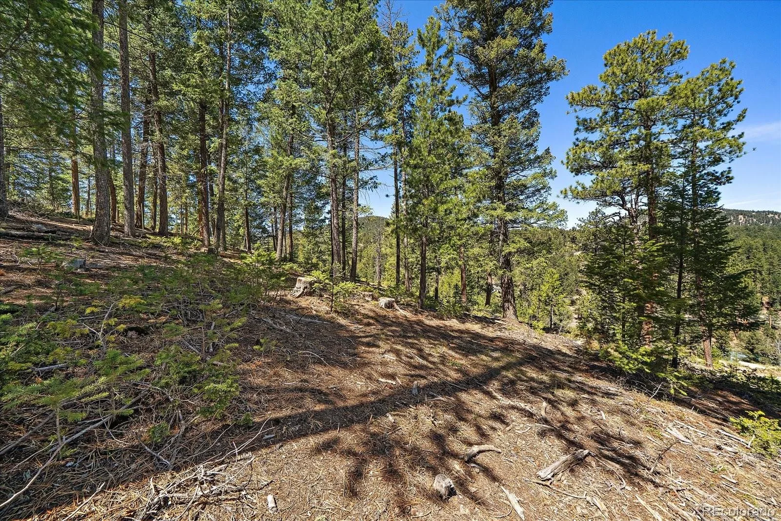 6855 Lynx Lair Road Evergreen CO 80439 | MLS #REC6200095 07282026164555 1600 10