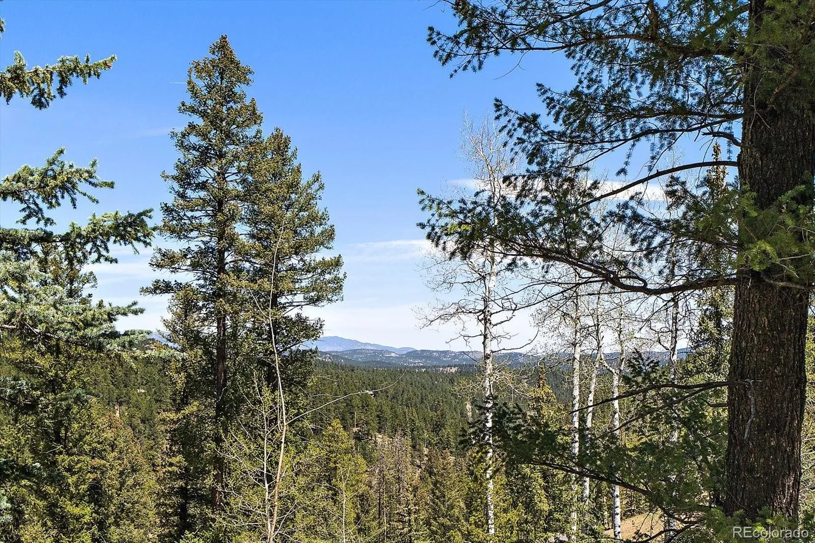 6855 Lynx Lair Road Evergreen CO 80439 | MLS #REC6200095 07282026164555 1600 11