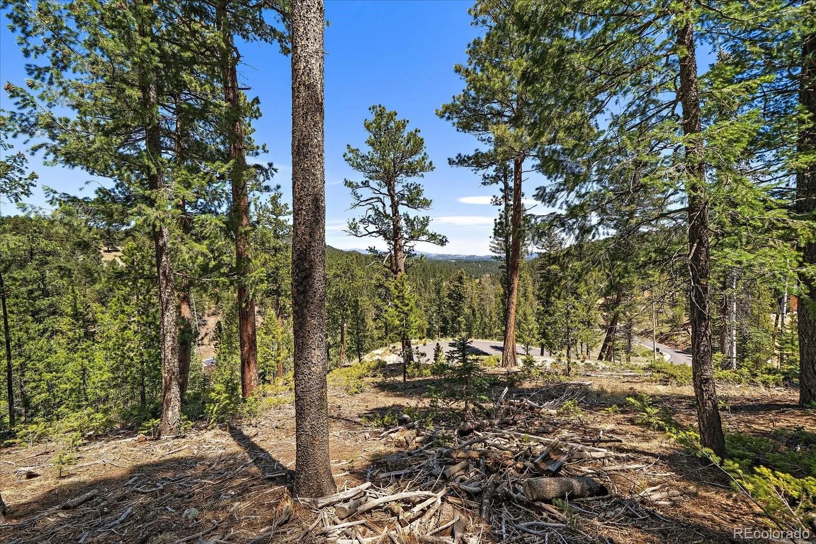 6855 Lynx Lair Road Evergreen CO 80439 | MLS #REC6200095 07282026164555 1600 12