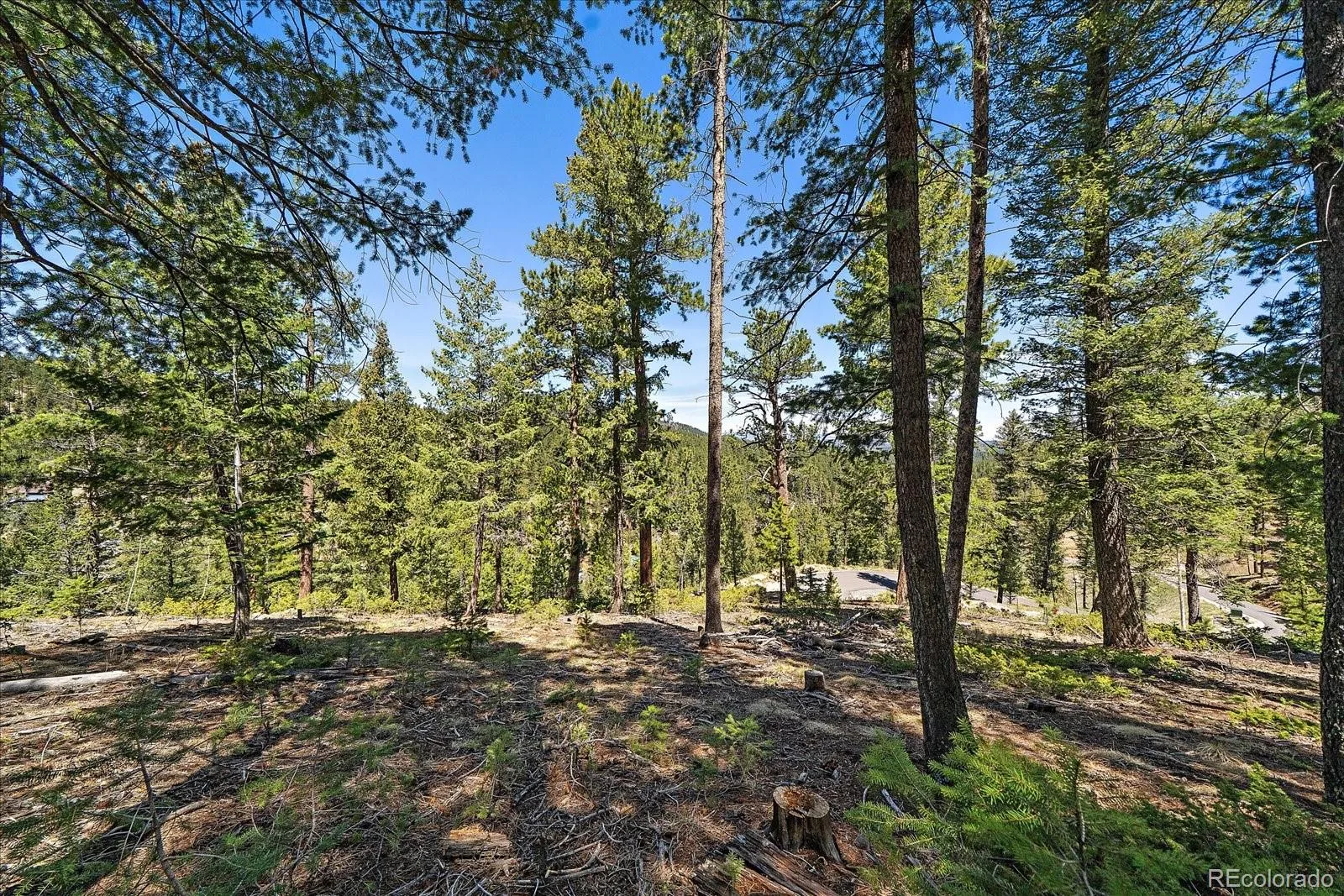 6855 Lynx Lair Road Evergreen CO 80439 | MLS #REC6200095 07282026164555 1600 13