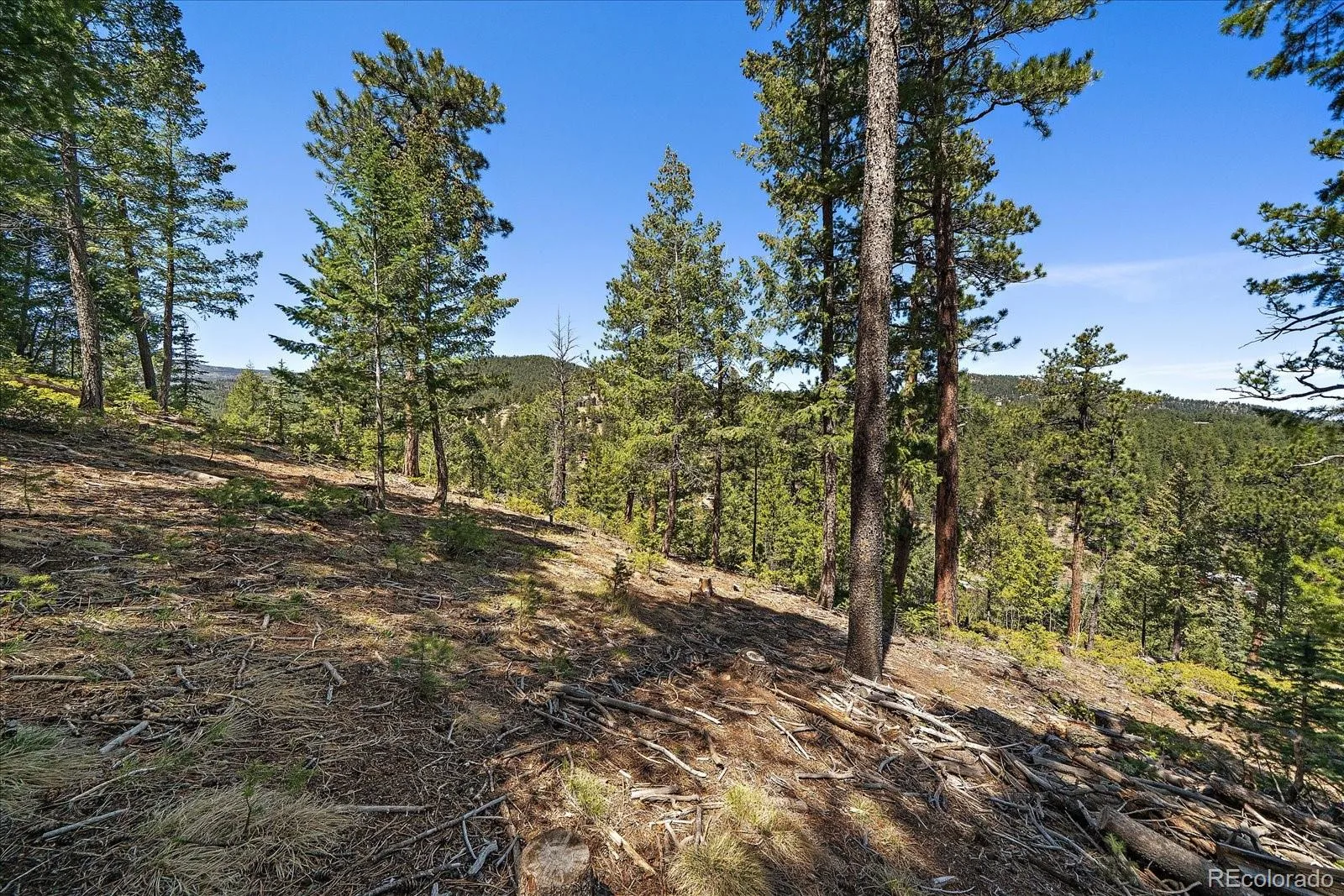 6855 Lynx Lair Road Evergreen CO 80439 | MLS #REC6200095 07282026164555 1600 14